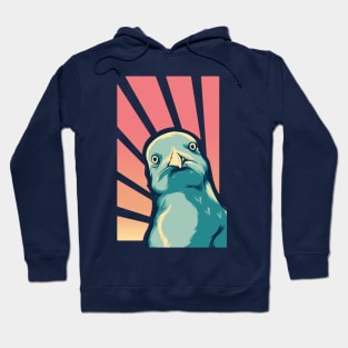 N.Y.C Pigeon Hoodie